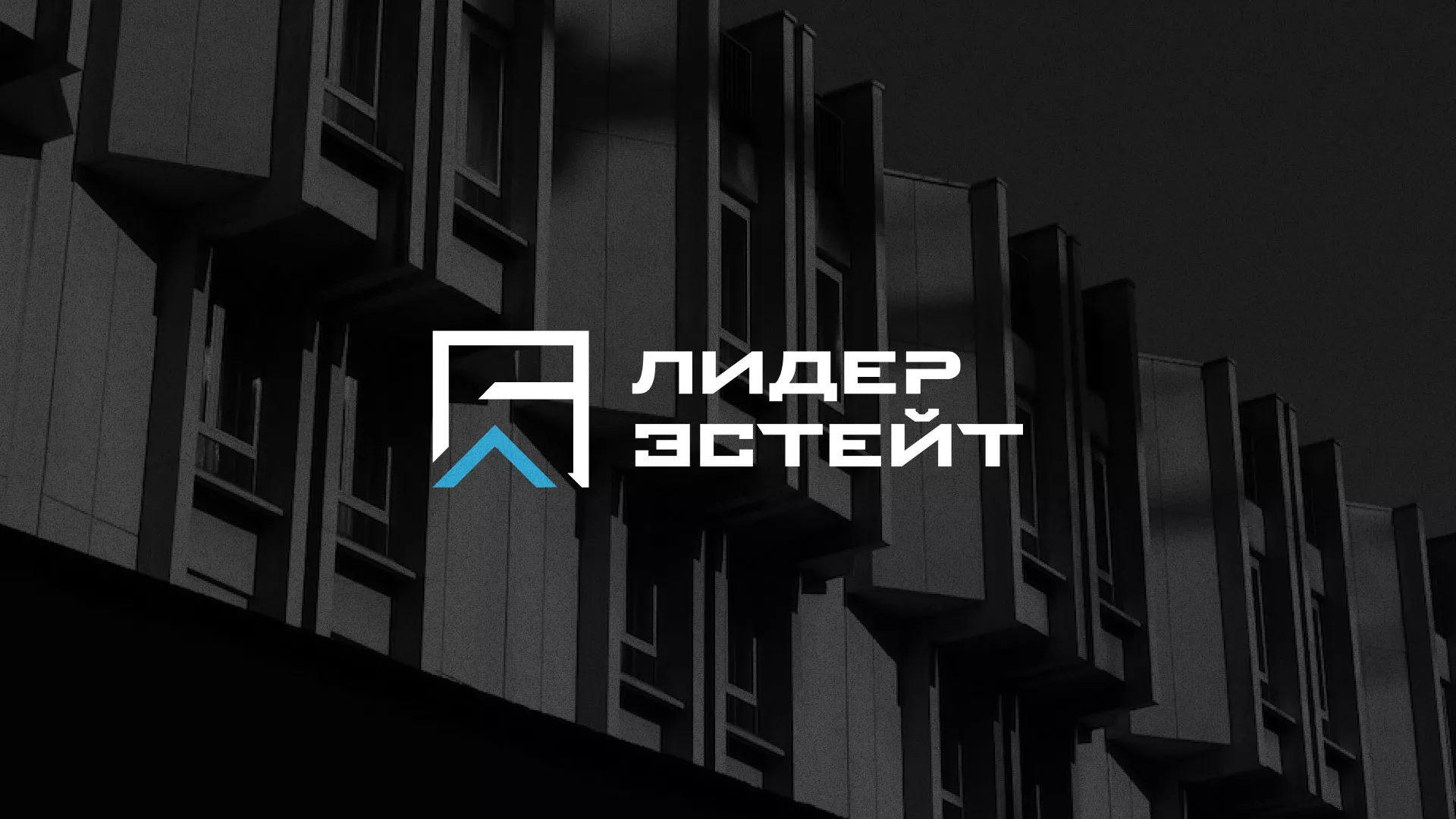 Разработка логотипа агентства недвижимости «Лидер Эстейт» в Новокубанске